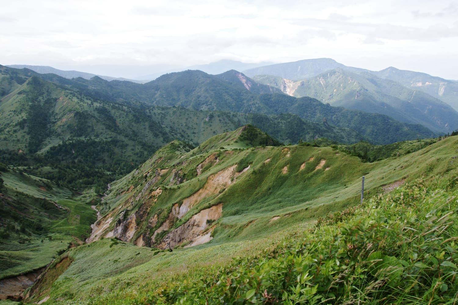 Green ridges of Shiga Kogen seen from the Nozoki viewpoint